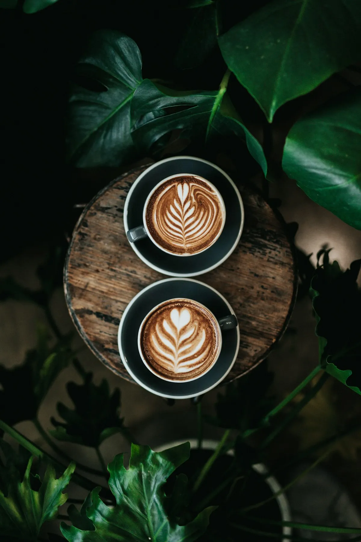 Latte