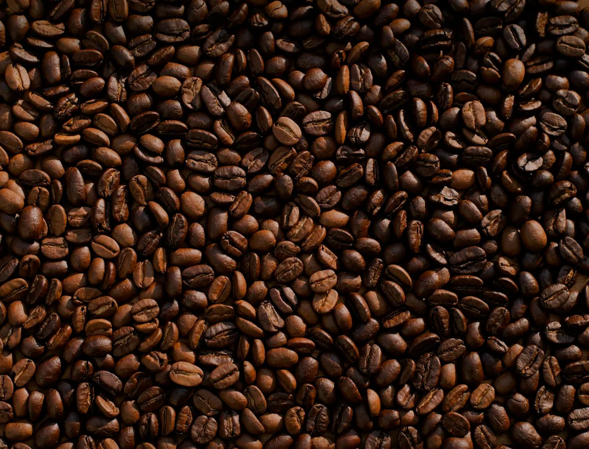 Granos de café de la semana en la barra de Kallpa